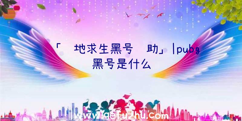 「绝地求生黑号辅助」|pubg黑号是什么
